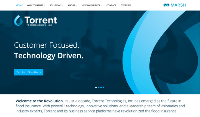 WordPress website - Torrent Technologies